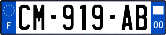 CM-919-AB