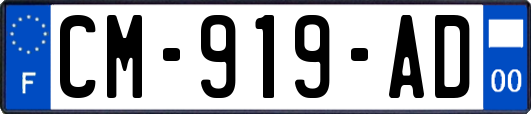 CM-919-AD