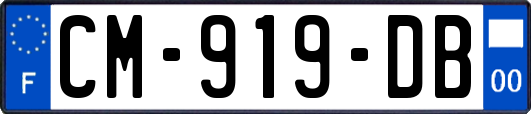 CM-919-DB