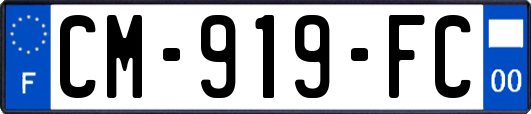 CM-919-FC