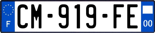 CM-919-FE