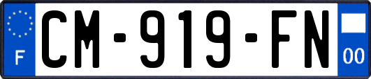 CM-919-FN