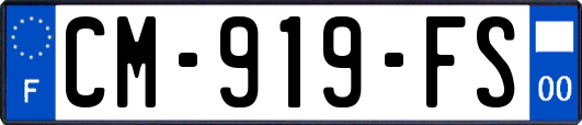 CM-919-FS