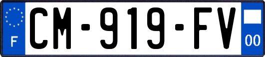CM-919-FV