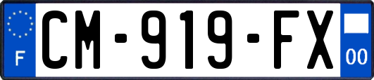 CM-919-FX