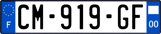 CM-919-GF
