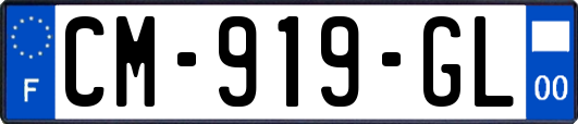 CM-919-GL
