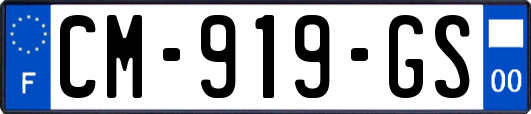 CM-919-GS