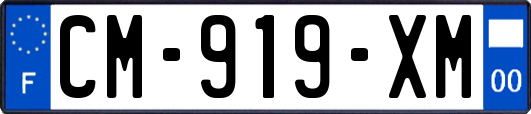 CM-919-XM