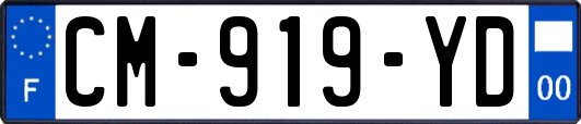 CM-919-YD