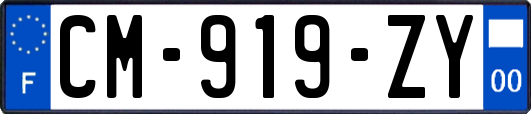 CM-919-ZY