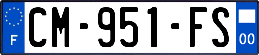 CM-951-FS
