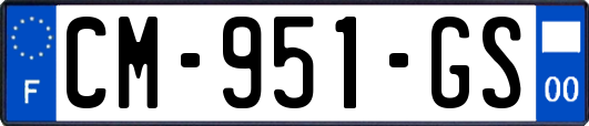 CM-951-GS