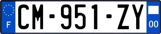 CM-951-ZY