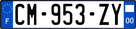 CM-953-ZY