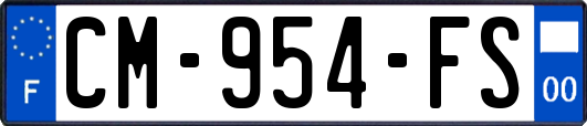 CM-954-FS