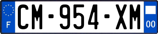 CM-954-XM