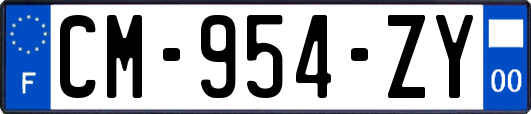 CM-954-ZY