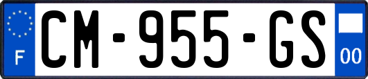 CM-955-GS