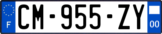 CM-955-ZY