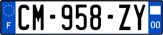 CM-958-ZY