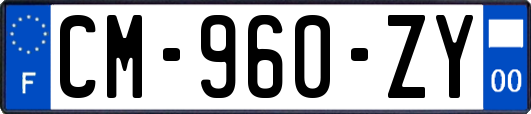 CM-960-ZY