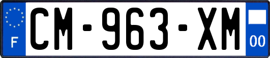CM-963-XM