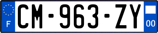 CM-963-ZY