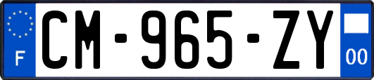 CM-965-ZY