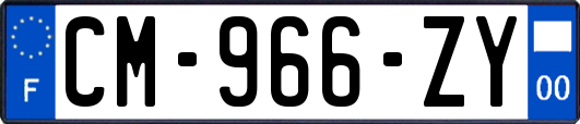 CM-966-ZY