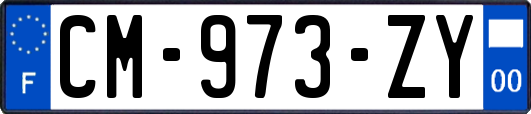 CM-973-ZY