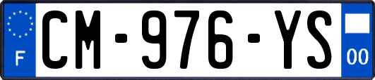 CM-976-YS