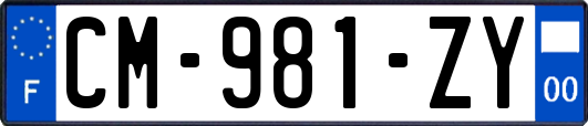 CM-981-ZY