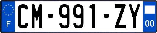 CM-991-ZY