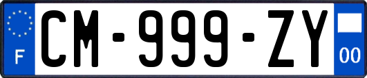 CM-999-ZY