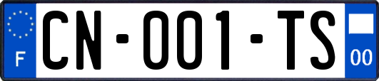 CN-001-TS