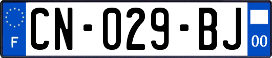 CN-029-BJ