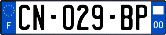 CN-029-BP