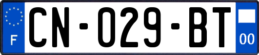 CN-029-BT