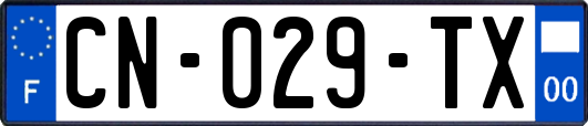 CN-029-TX