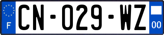 CN-029-WZ