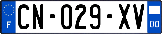 CN-029-XV