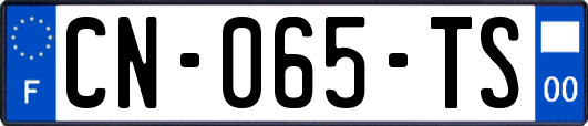 CN-065-TS