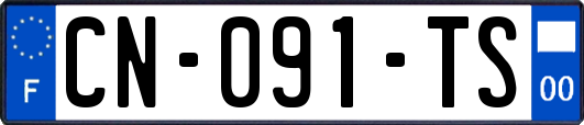 CN-091-TS