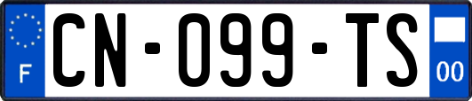 CN-099-TS