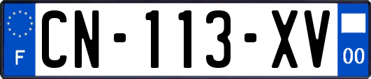 CN-113-XV