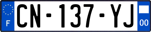 CN-137-YJ