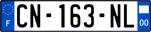 CN-163-NL