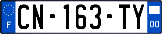 CN-163-TY