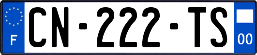 CN-222-TS